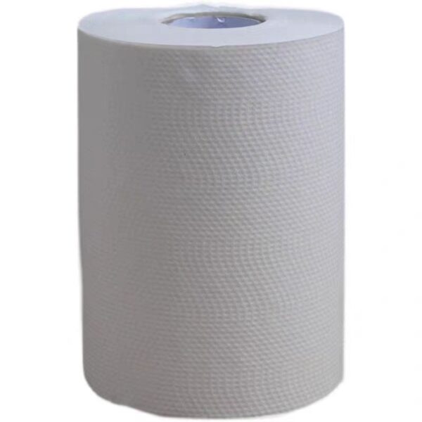 Roll type toilet paper